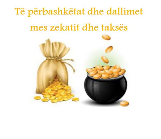 Të përbashkëtat dhe dallimet mes zekatit dhe taksës