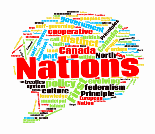 Përkatësi ndaj kombit apo ndaj parimit?