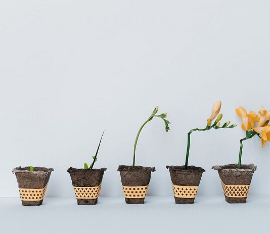 Ligji i gradualitetit në reforma