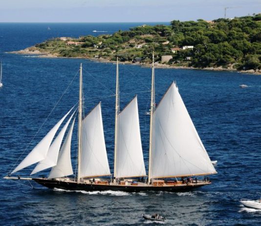 SUKSESI DHE ANIJA E JETËS