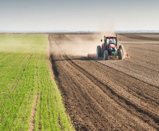 Coronavirusi ktheu shumë punëtorë në shtëpitë e tyre, ndoshta përgjithmonë