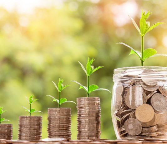Investimi i pasurisë të zekatit