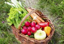 Statistikat e Mirëqenies Sociale, Maj 2025