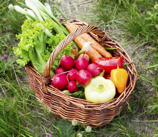 Statistikat e Mirëqenies Sociale, Maj 2025