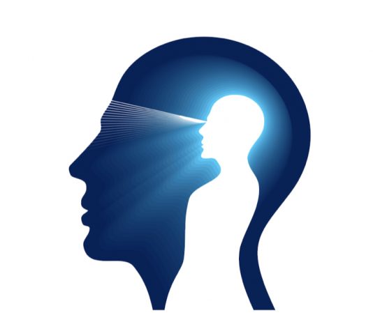 Intuita është formë e lartë e inteligjencës…