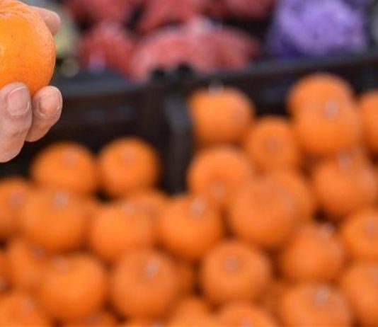 Turqia fiton 174 milionë dollarë nga eksporti 10-mujor i mandarinës