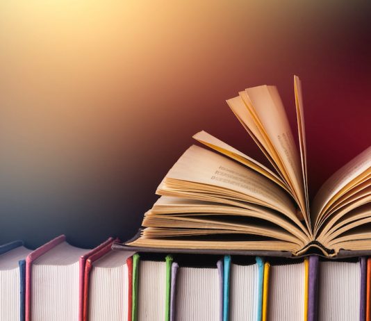 12 libra për biznesin gjatë vitit 2021
