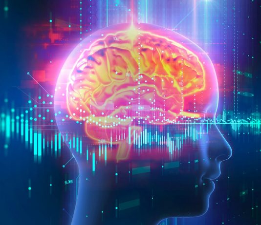 Fokus, këmbëngulje dhe kontroll: Neuroshkenca zbulon se si arrihen qëllimet e mëdha