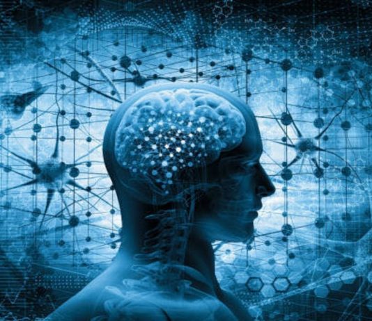Mendja njerëzore