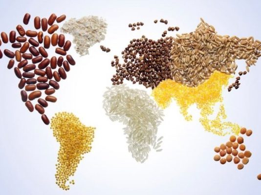 FAO: Çmimet e ushqimeve në botë arrijnë nivelin më të lartë në 10 vjet