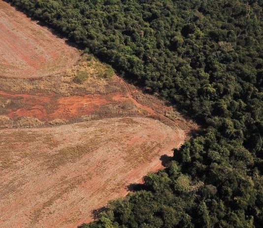 COP26: Udhëheqësit botërorë premtojnë t’i japin fund shpyllëzimit deri në vitin 2030