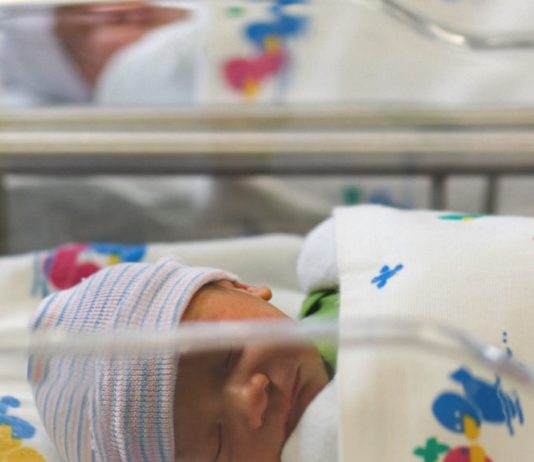 Statistikat e Lindjeve, 2020