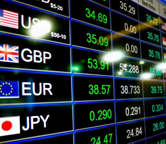 Mesatarja vjetore/ euro shënoi nivelin më të ulët historik në vitin 2021