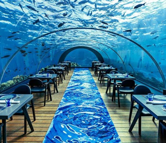 Restorantet më të shtrenjta në botë me yje Michelin