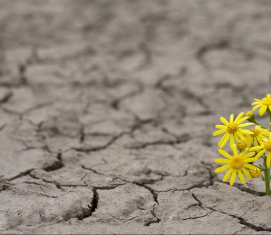 Kushdo ka diçka të shenjtë