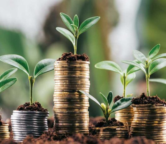 Pesë mësimet thelbësore islame mbi pasurinë