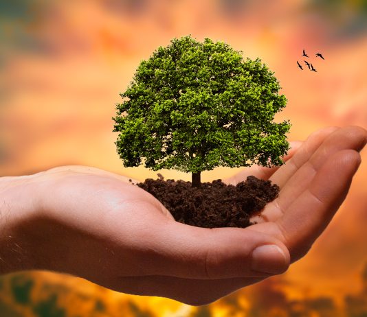 18 burimet e bereqetit