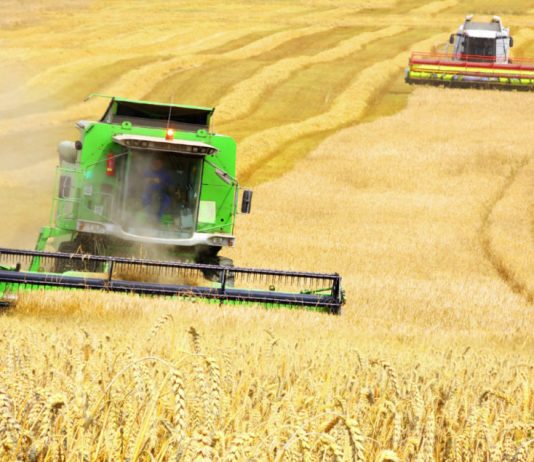 Cilët janë 20 eksportuesit më të mëdhenj të grurit në botë?!