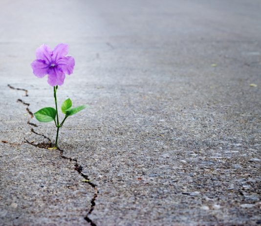 “Zgjoji aftësitë dhe ndërto të ardhmen tënde” – pikat kyqe të librit nga Dr. Ibrahim el-Fekij