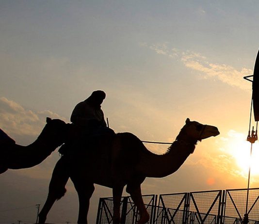 Bashkëpunimi arab, si një zgjidhje e mundshme për çmimet e naftës