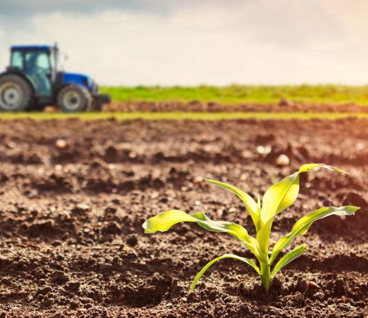 Mbjelljet e sivjetshme pranverore, ndër më sfidueset në historinë e bujqësisë kosovare