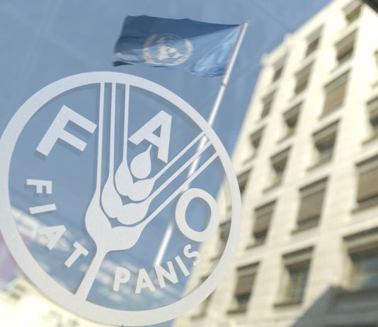 FAO: Çmimet botërore të ushqimeve arrijnë nivelin më të lartë rekord në mars