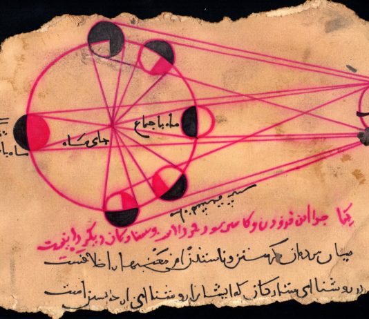 A e dini se kush është mendja (shkencore) më e madhe në histori?