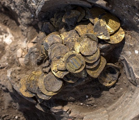 Sa flori ka në tokë?