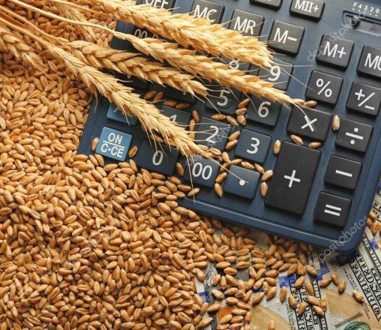Mullistët dalin kundër shtrenjtimit të bukës dhe kanë edhe një lajm të mirë