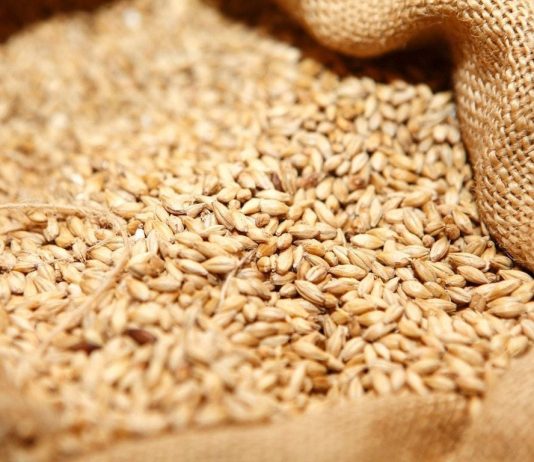 20 milionë tonë drithëra do të jenë në dispozicion të botës falë qendrës komanduese në Stamboll