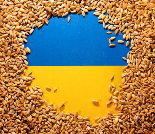 Gruri, “dorëzimi” i parë i BE-së