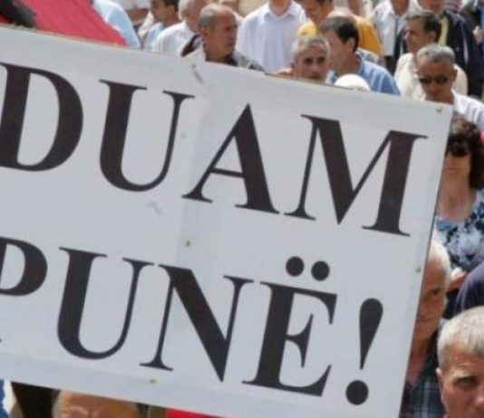 Kush mund të punësohet me skemën e re?