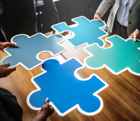 Fazat e administrimit sipas objektivave