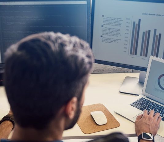 Puna e një ekonomisti