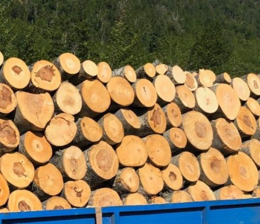 Dimër i vështirë në Kosovë; Çmimet e bukës, druve dhe peletit prekin kulmin