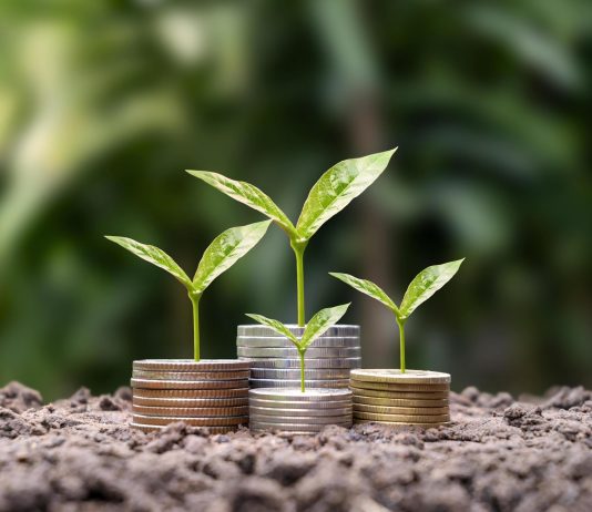 Përgjegjësia sociale tek organizatat muslimane jofitimprurëse