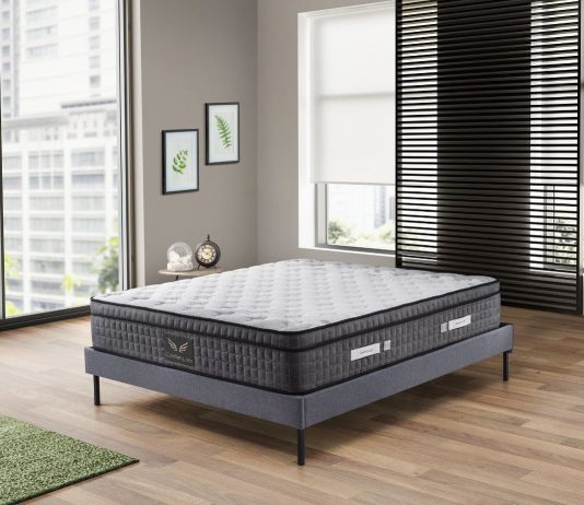 Dyshekët rrisin ndjeshëm eksportet e Kosovës