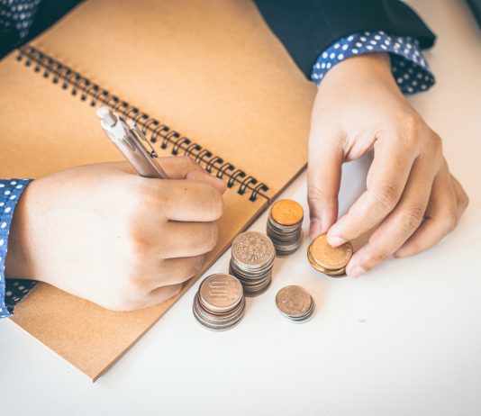 Pakoja për Ringjallje Ekonomike, Qeveria ndan 19 milionë euro
