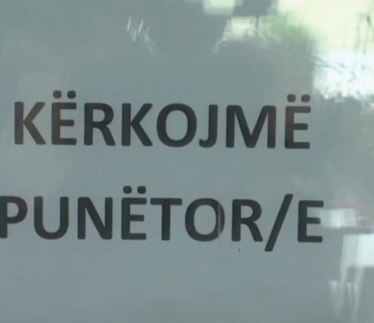 ASK: Numri i të punësuarve vitin e kaluar ishte mbi 23 mijë, më së shumti në sektorin e tregtisë