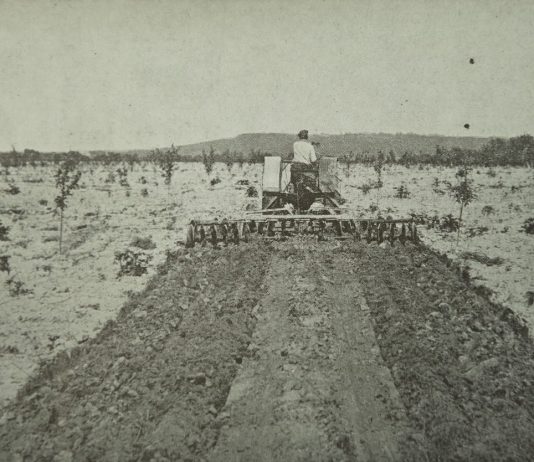 Historia e bujqësisë