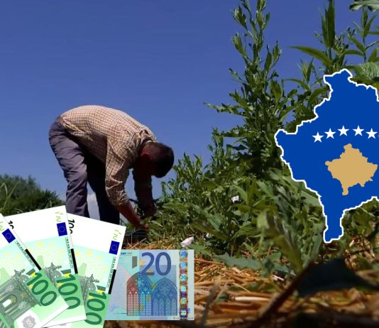 Kosova, në krizë për punëtorë