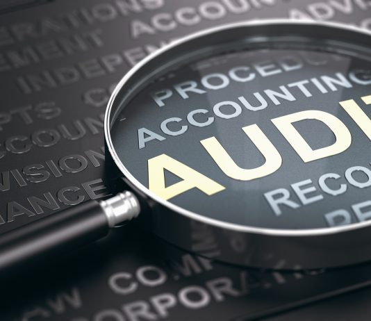 30 shoqëritë më të mëdha të auditimit në Shqipëri