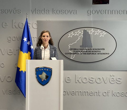 Rizvanolli: Siguria e energjisë mund të arrihet vetëm përmes bashkëpunimit të ngushtë