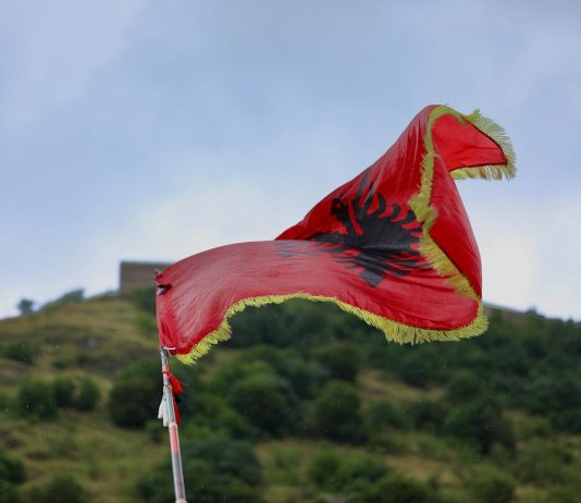 110 – vjet ekonomi shqiptare – përballja me sfidat e zhvillimit ekonomiko-social