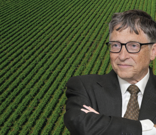E vërteta se pse Bill Gates vazhdon të blejë kaq shumë tokë bujqësore