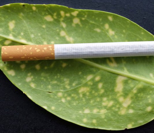 Në këtë vend kompanitë e cigareve do të paguajnë për pastrimin e bishtave në mjedis