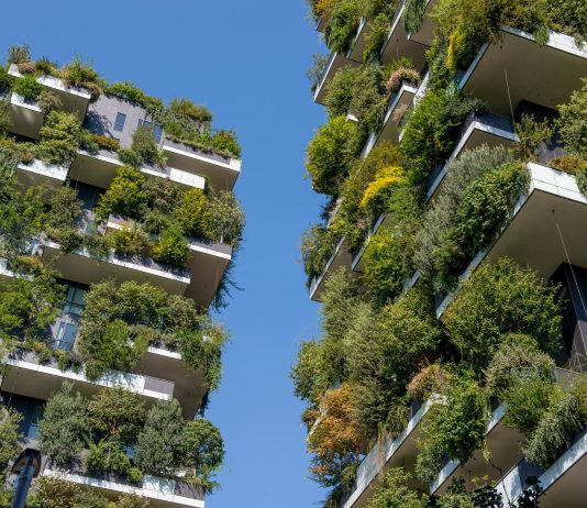 Ndërtime pa dëmtuar mjedisin, lirë dhe të mira