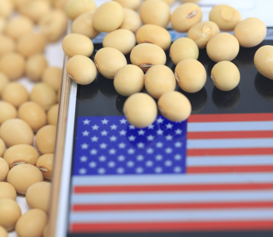 Çmimi i tyre ‘ka shkuar në qiell’, amerikanët mund të shpenzojnë mbi 2 milionë dollarë për vezë gjatë shkurtit