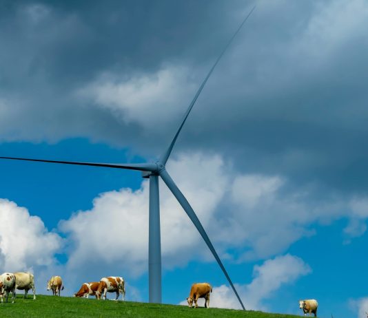 Disa Fakte mbi Mjedisin, 2021-2022