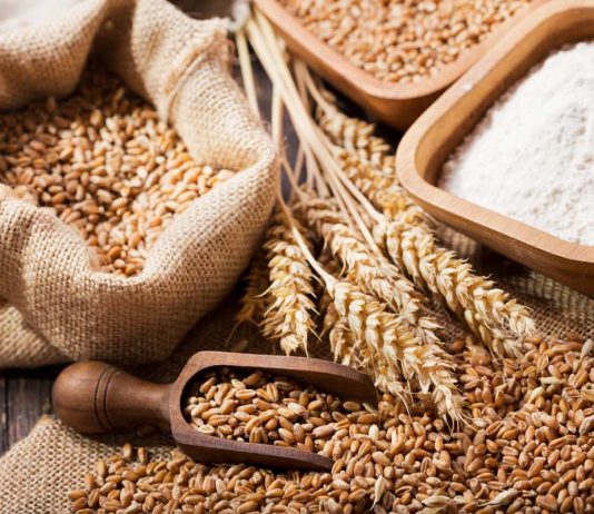 Rregullat e zekatul fitrit – Urtësia që qëndron pas ligjshmërisë së zekatul-fitrit